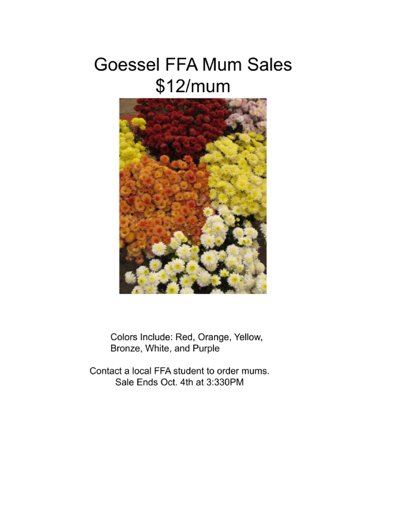 Mum Sale Information